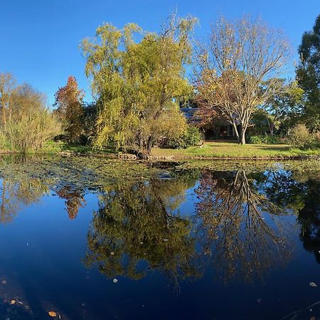 Motel Holly Lane Mews Yarra Glen Zewnętrze zdjęcie