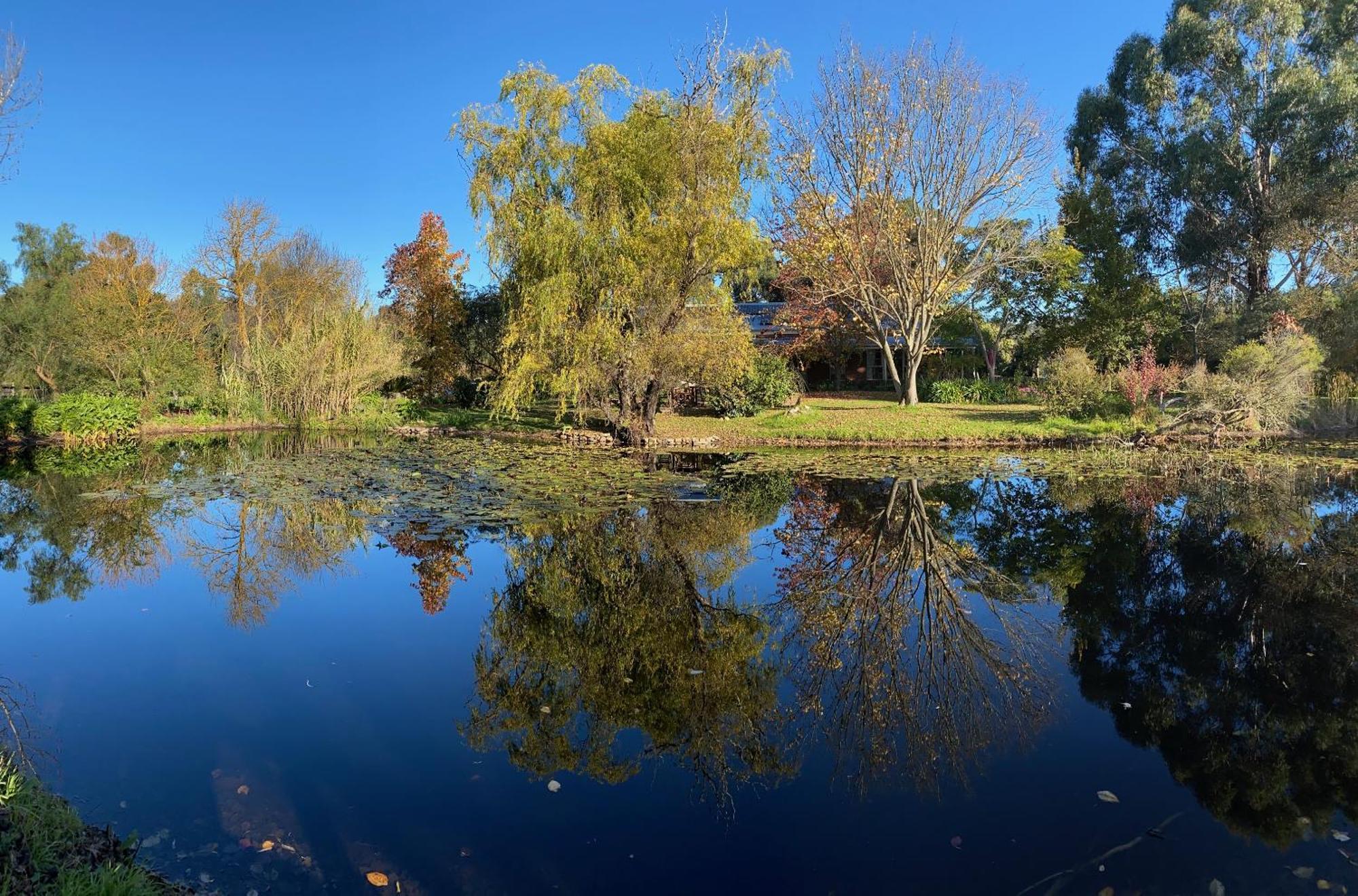 Motel Holly Lane Mews Yarra Glen Zewnętrze zdjęcie