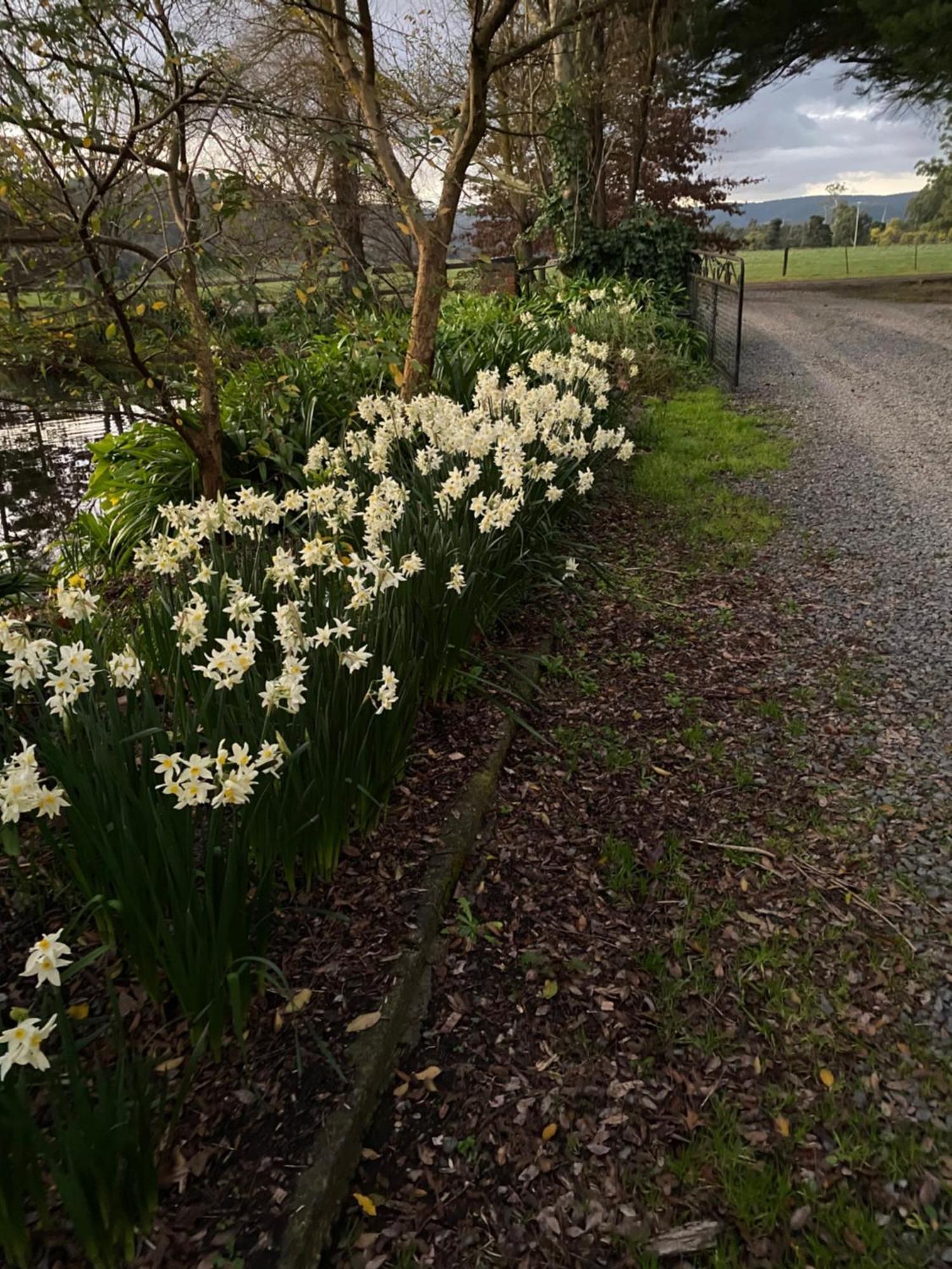 Motel Holly Lane Mews Yarra Glen Zewnętrze zdjęcie