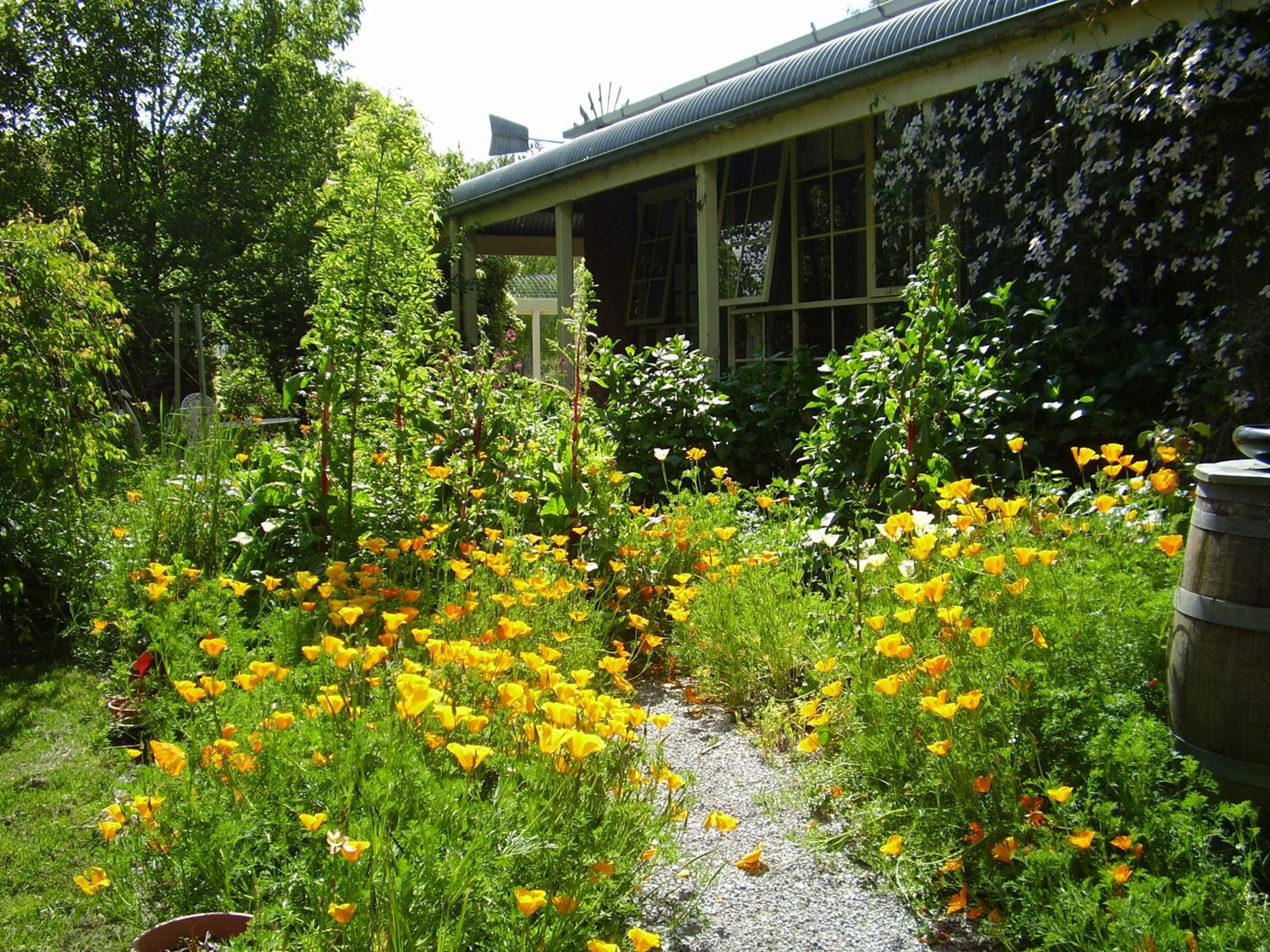 Motel Holly Lane Mews Yarra Glen Zewnętrze zdjęcie