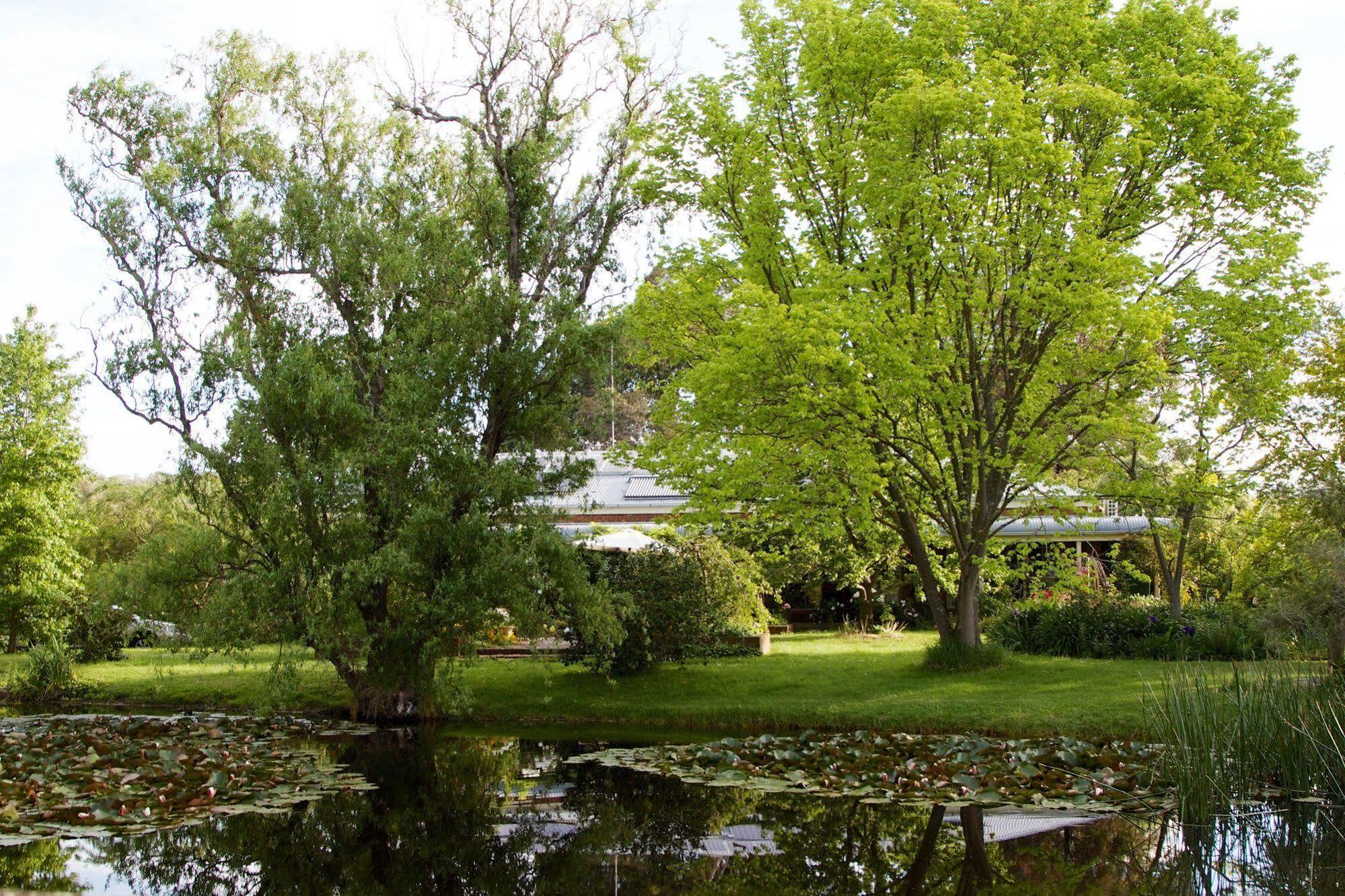 Motel Holly Lane Mews Yarra Glen Zewnętrze zdjęcie