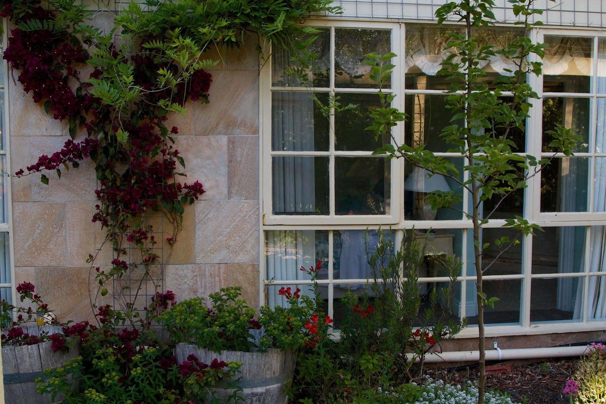 Motel Holly Lane Mews Yarra Glen Zewnętrze zdjęcie
